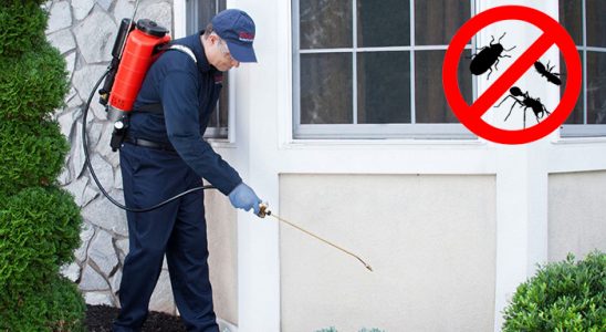 Niğde Karınca İlaçlama böcek ilaçlama ve haşere kontrolü — ilaclama-tr.com